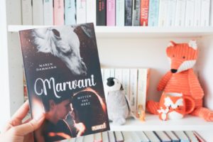 Read more about the article [Rezension] Marwani – Mitten ins Herz – Maren Dammann