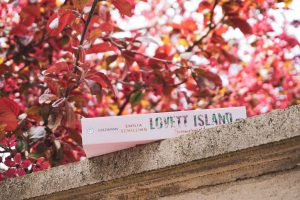 Read more about the article [Rezension] Lovett Island – Sommernächte – Emilia Schilling
